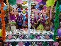 IMG_002 (48).jpeg
